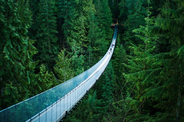 Capilano Suspension đẹp hoàn hảo