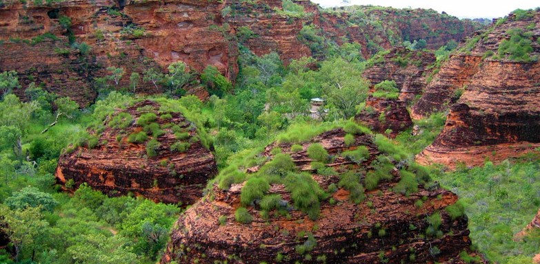 Kununurra phía Tây Australia hoang dã 