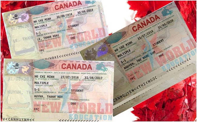 Làm thế nào để xin visa đi du lịch canada nhanh nhất năm 2020?