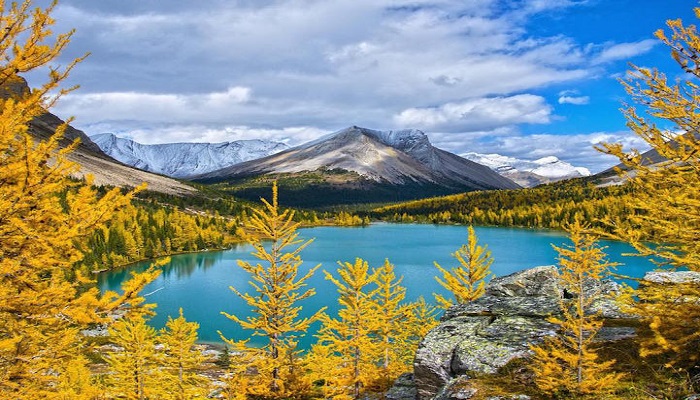 Du lịch Canada mùa thu - Phong cảnh hữu tình với rừng là phong đỏ